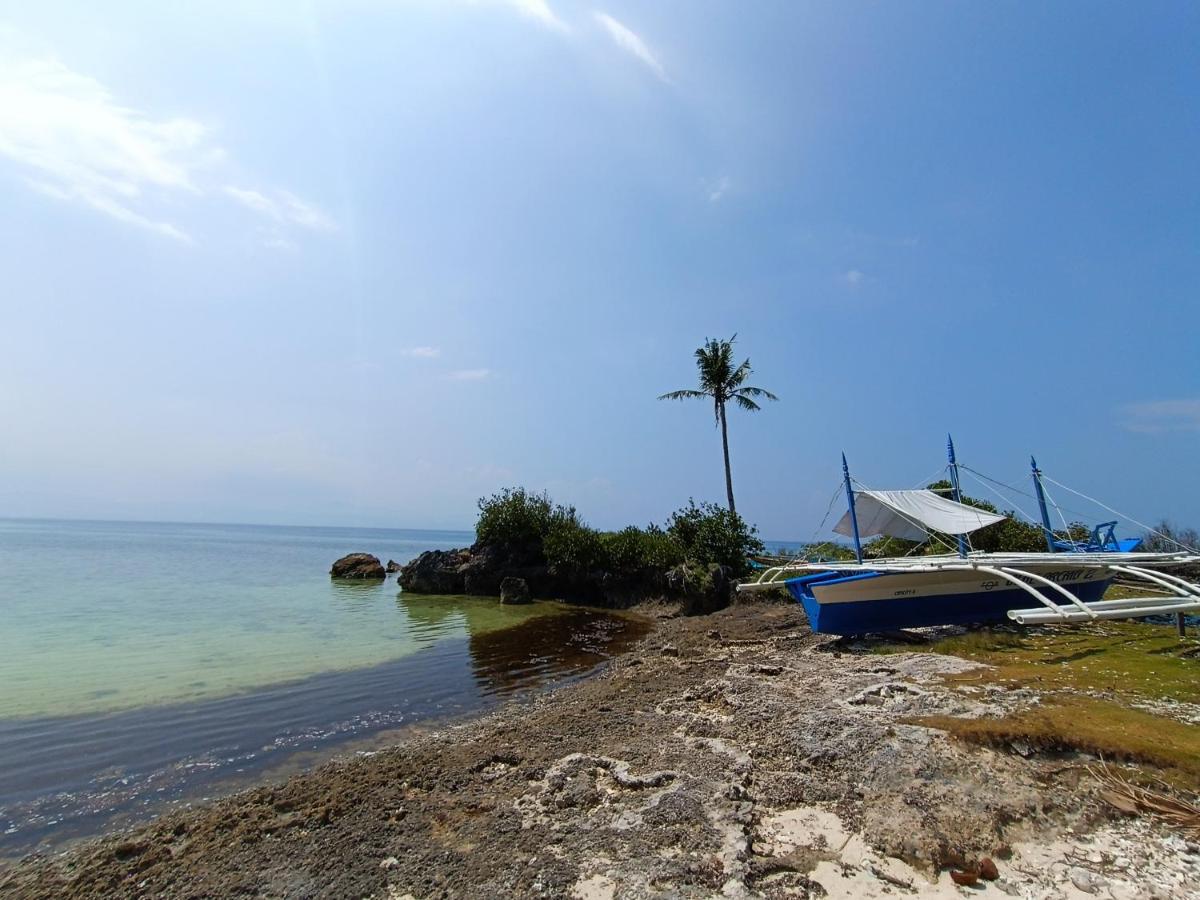 The Wild Orchid Resort - Moalboal Bagian luar foto