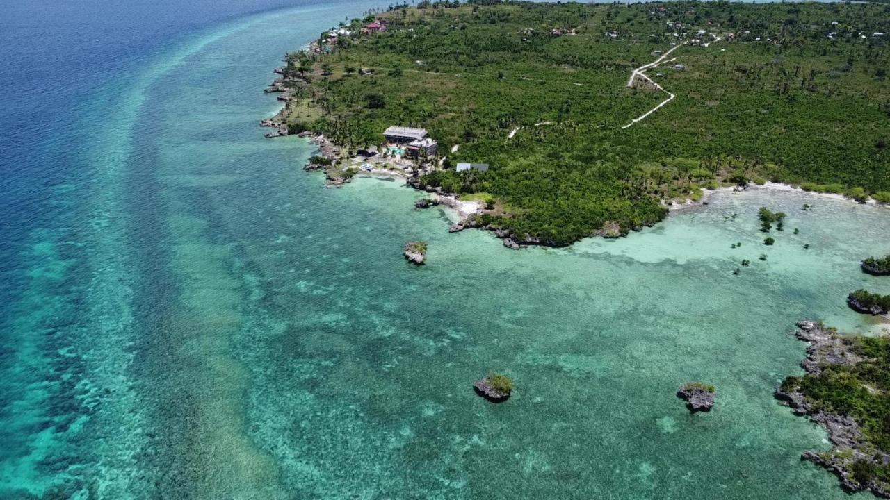 The Wild Orchid Resort - Moalboal Bagian luar foto