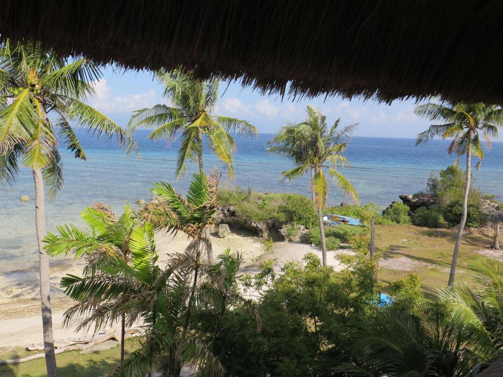 The Wild Orchid Resort - Moalboal Bagian luar foto