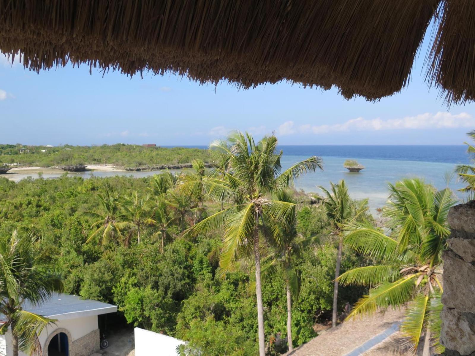 The Wild Orchid Resort - Moalboal Bagian luar foto