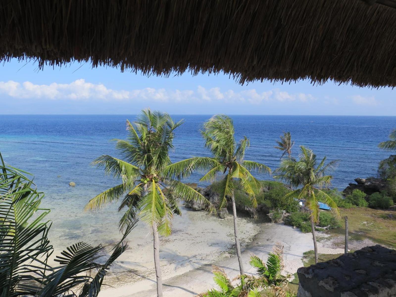 The Wild Orchid Resort - Moalboal Bagian luar foto
