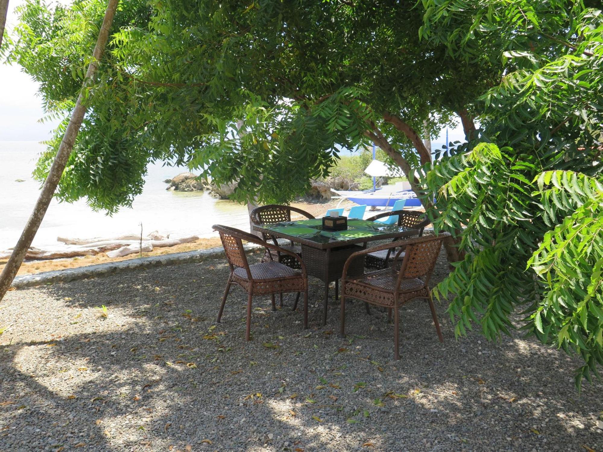 The Wild Orchid Resort - Moalboal Bagian luar foto