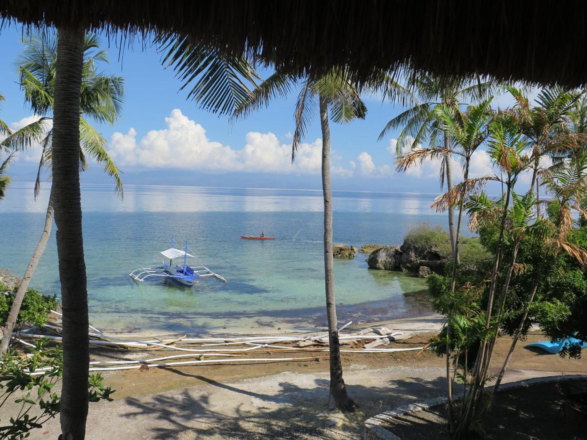 The Wild Orchid Resort - Moalboal Bagian luar foto