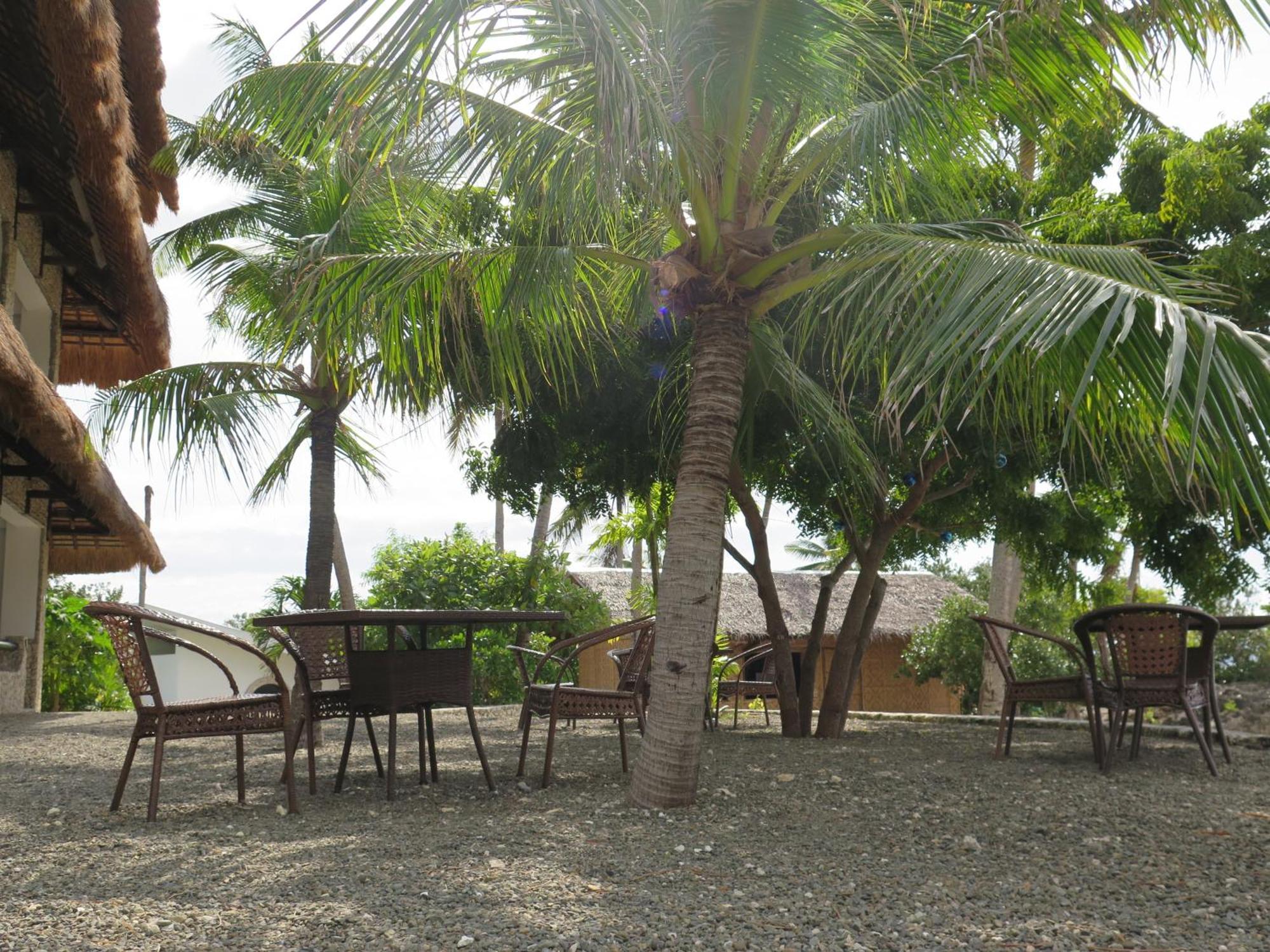 The Wild Orchid Resort - Moalboal Bagian luar foto