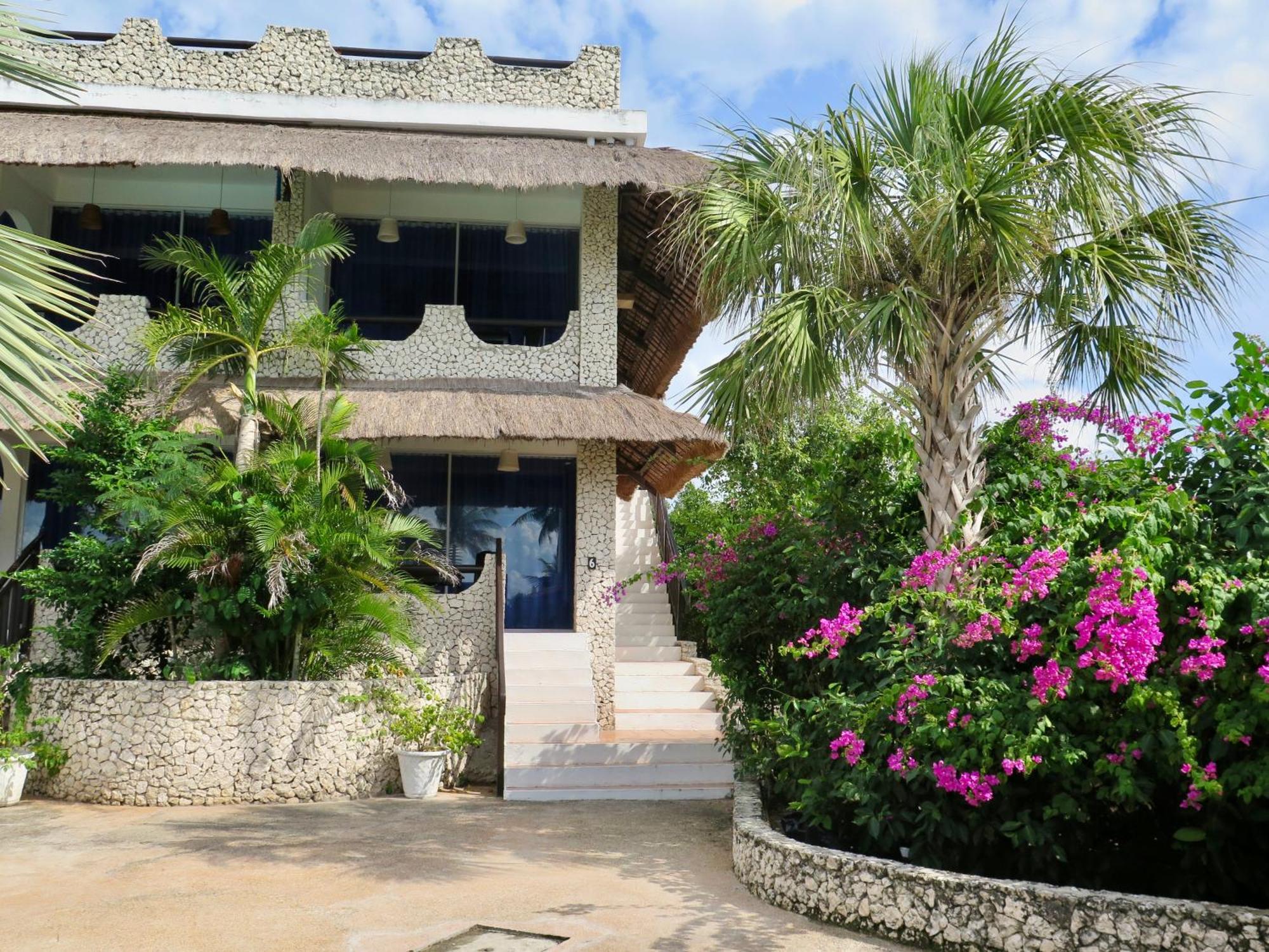 The Wild Orchid Resort - Moalboal Bagian luar foto