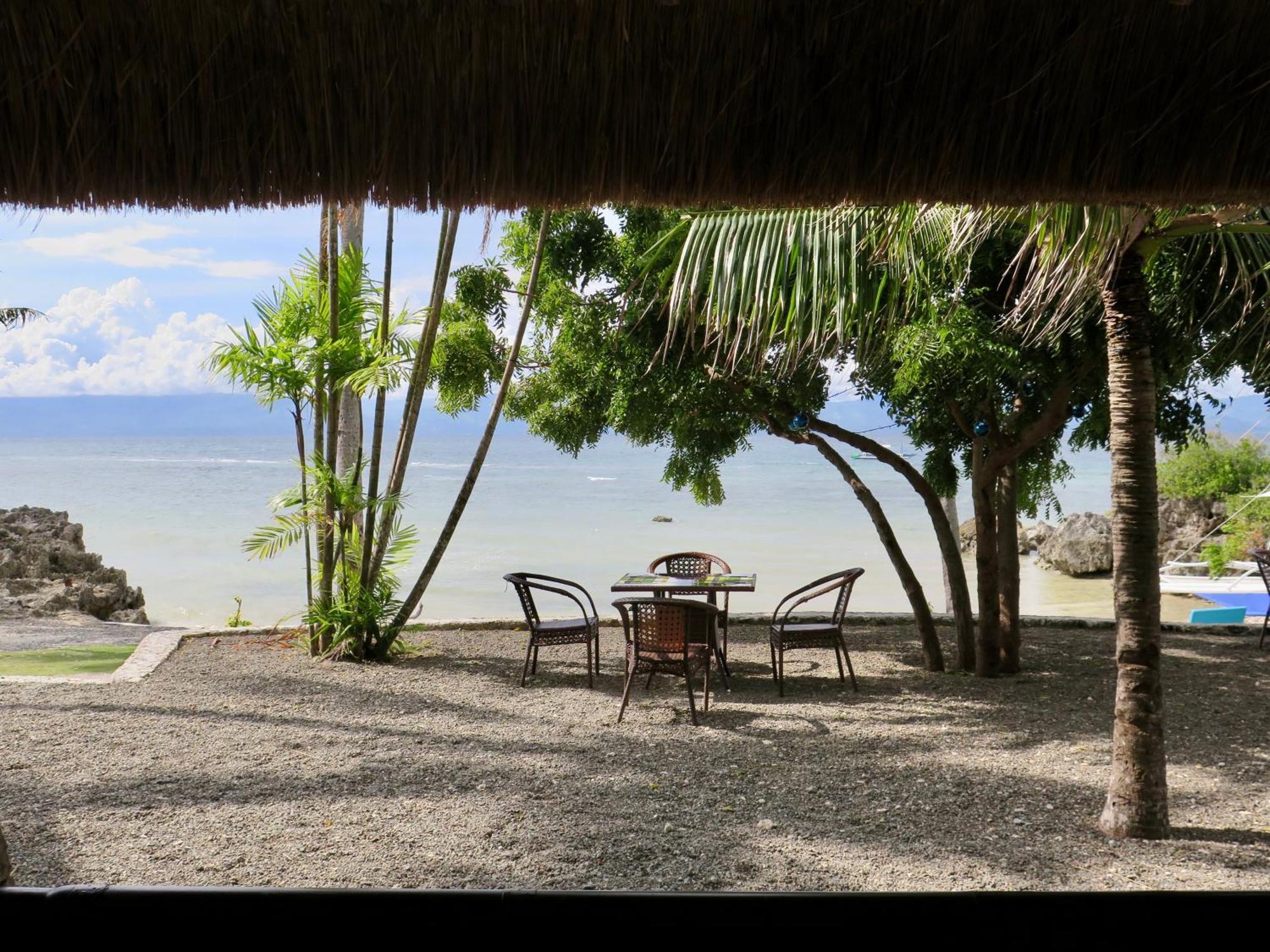 The Wild Orchid Resort - Moalboal Bagian luar foto