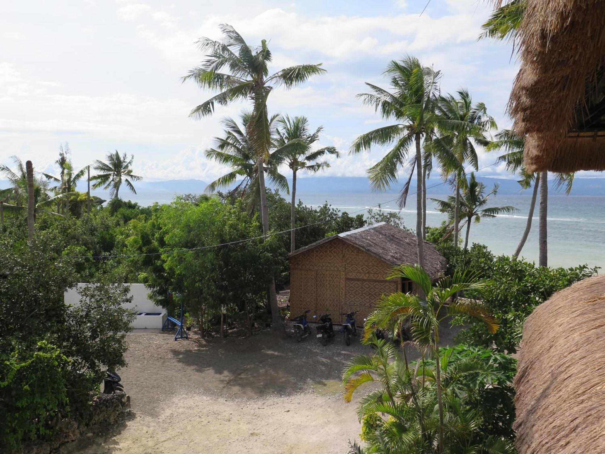 The Wild Orchid Resort - Moalboal Bagian luar foto
