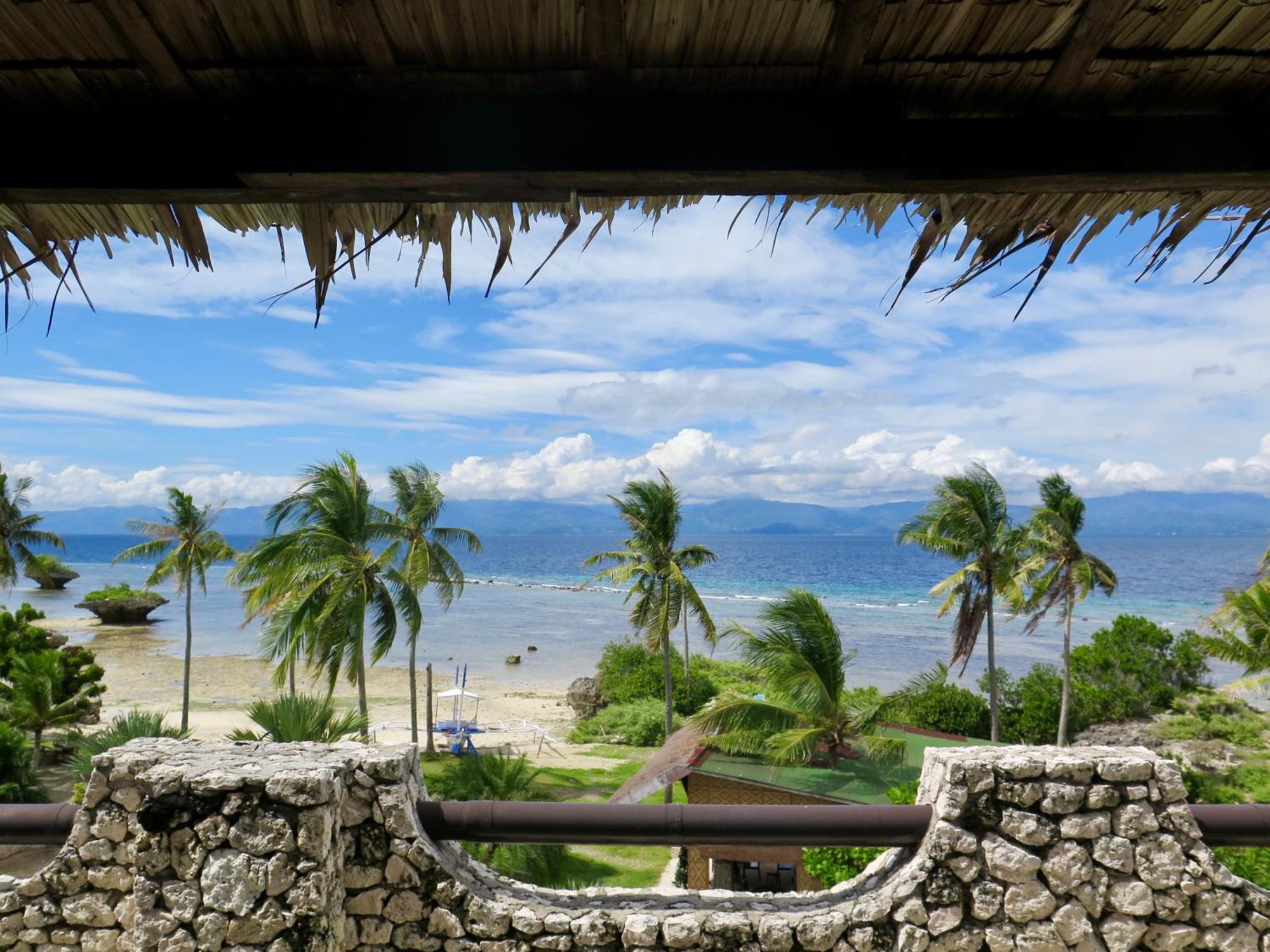 The Wild Orchid Resort - Moalboal Bagian luar foto