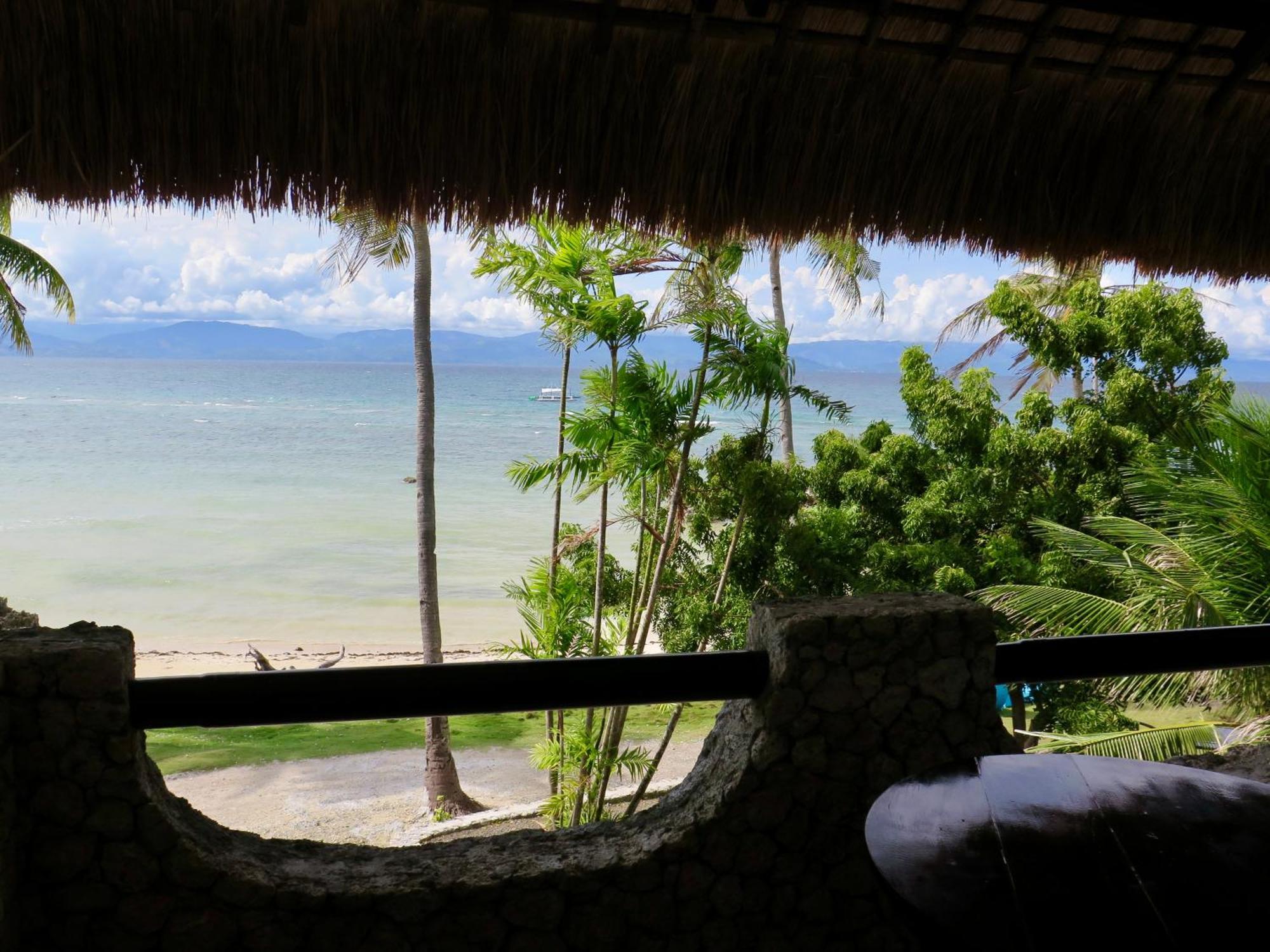 The Wild Orchid Resort - Moalboal Bagian luar foto